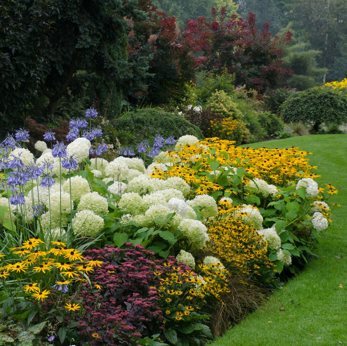 Beautiful garden with flowers